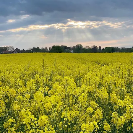 Prázdninový dům Ferien_haus Arkadien